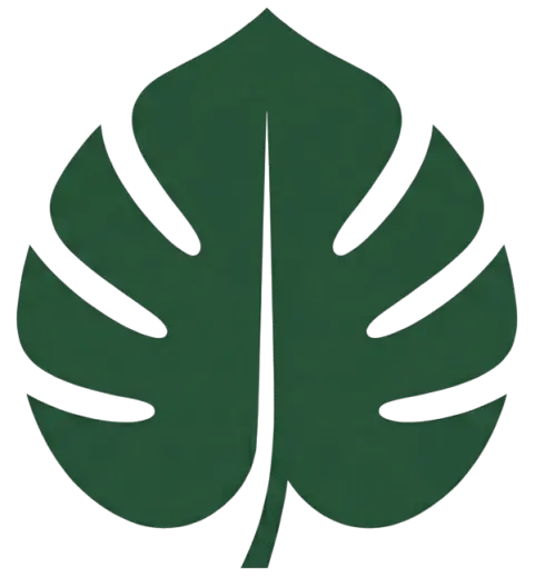 Logo-transparent