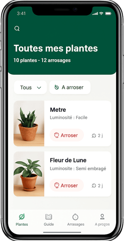ecran-plantadvice-app ecran-plantadvice-app